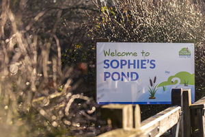 Photo 7- click for photo gallery